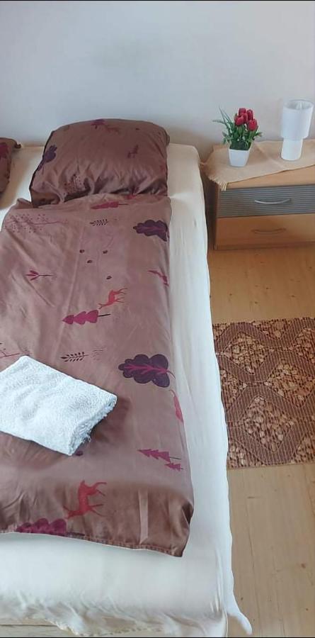 Visszavar-Lak Privat Berlemeny Bytom Extérieur photo